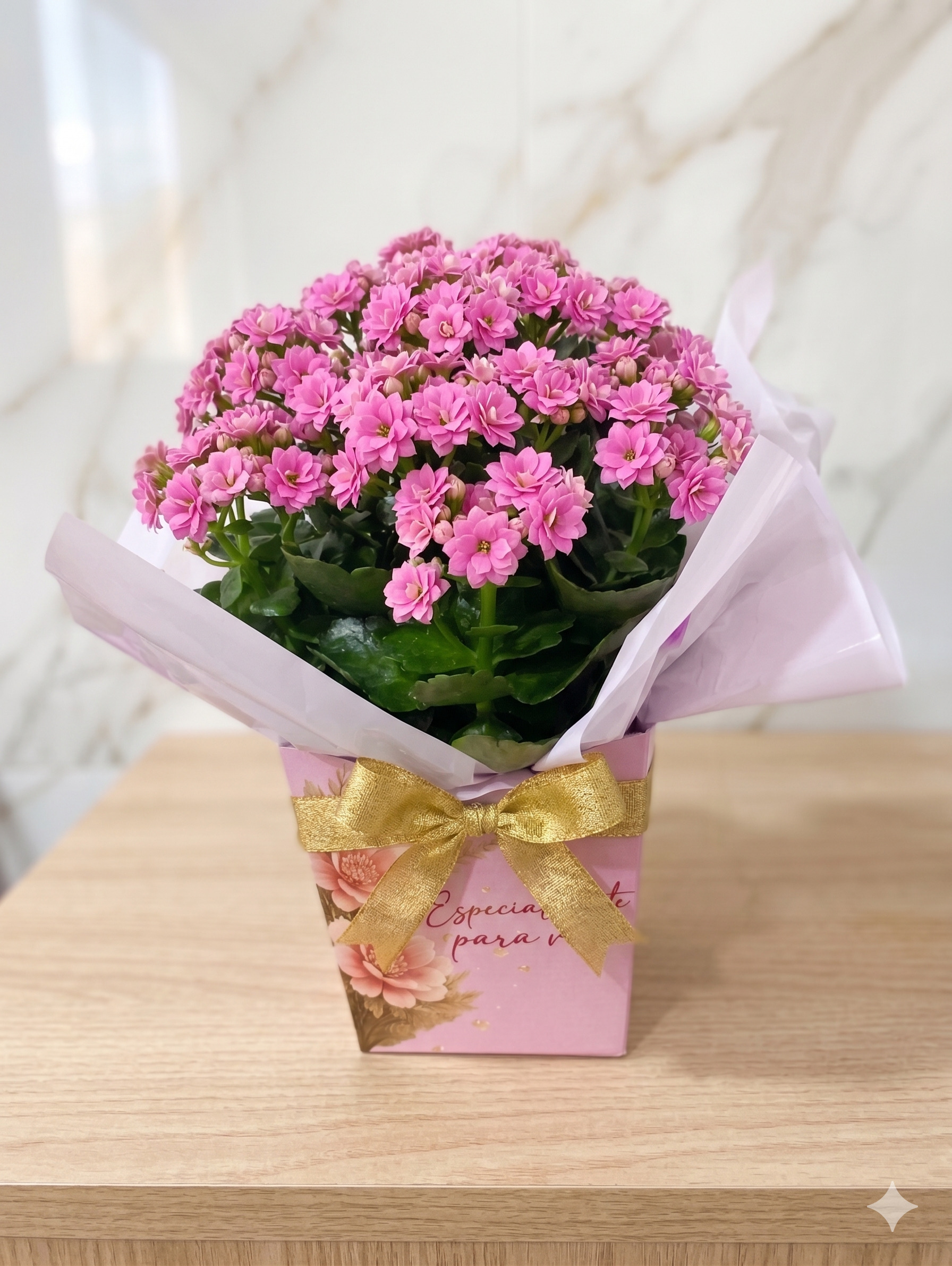 Kalanchoe Rosa em Vaso Especialmente para Você com Laço Dourado — Presente Dia das Mães